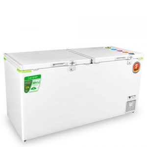 Rockwell GFRET 550 large double door Deep Freezer