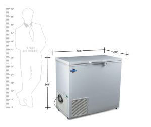 ROCKWELL BEVERAGE CHILLER 290 LITERS | 2° TO 8° C | SINGLE DOOR | IC 21 SD | CHEST COOLER | BOTTLE COOLER | DRY COOLER|DEEP FREEZER