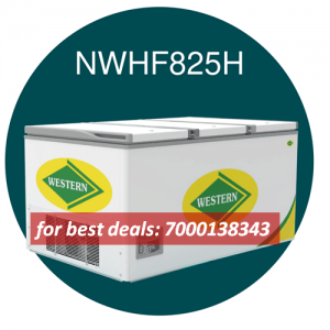 Western 825 L Hard top Deep Freezer