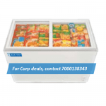 Blue Star GT200AG Glasstop Freezer