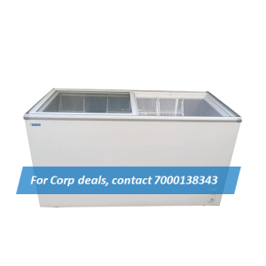 Blue Star Glasstop Freezer