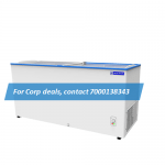 Blue Star GT500AG Glasstop Freezer