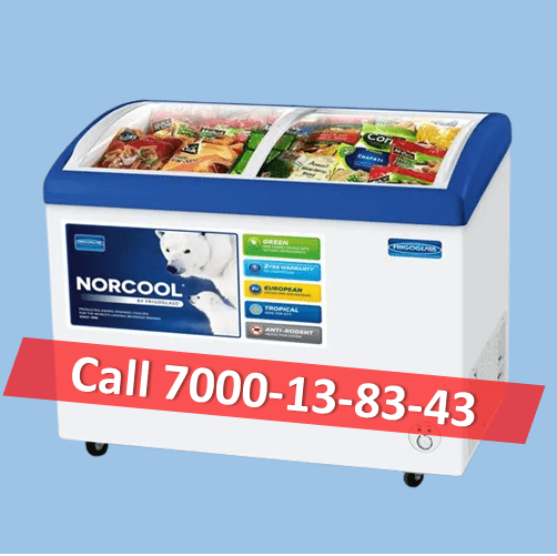 Ice Cream Cooler Box 80L, Mobile Vending