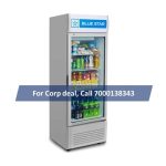 Bluestar VC 325D visi cooler